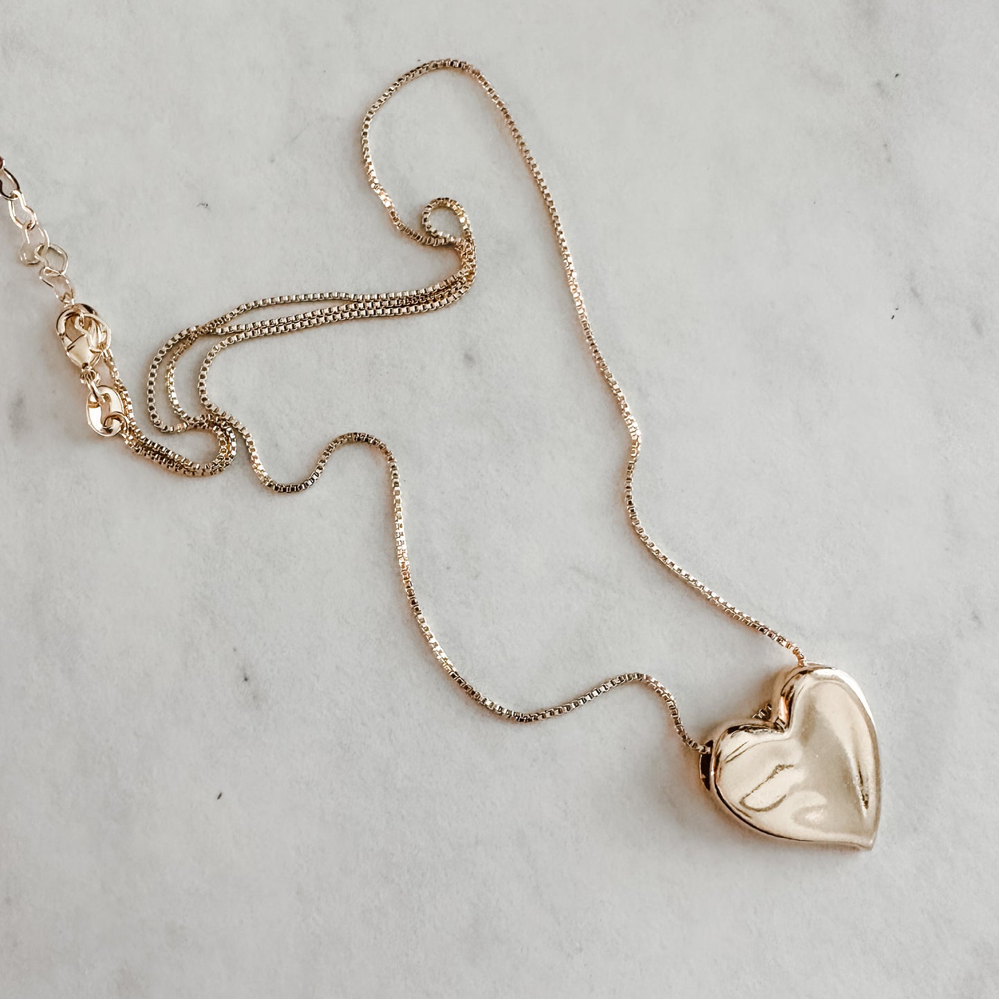 The Heart Necklace