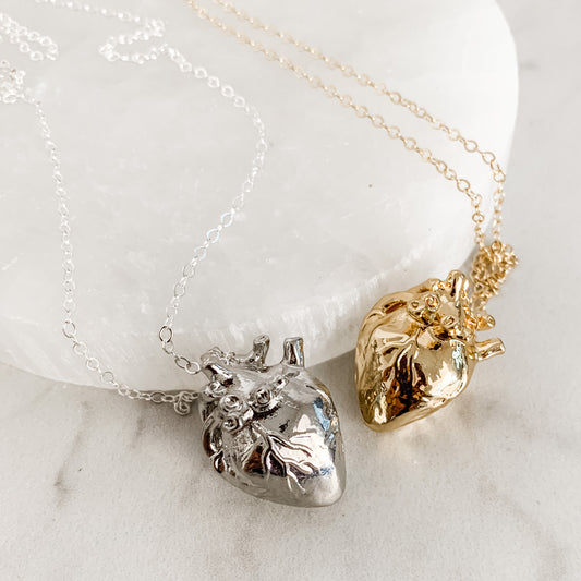 The Anatomical Heart